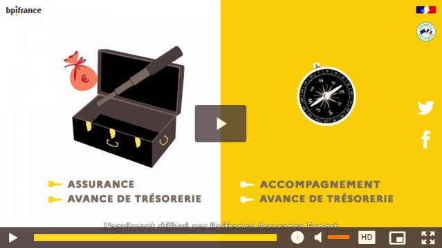 Présentation vidéo de l'APA - Assurance Prospection Accompagnement